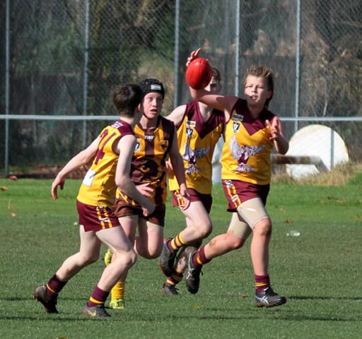 Football West Gippsland Junior Football League  (U14's) Warranor Vs. Drouin - 15.05.21 