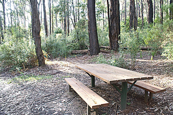 Biodiversity blitz at Uralla Reserve