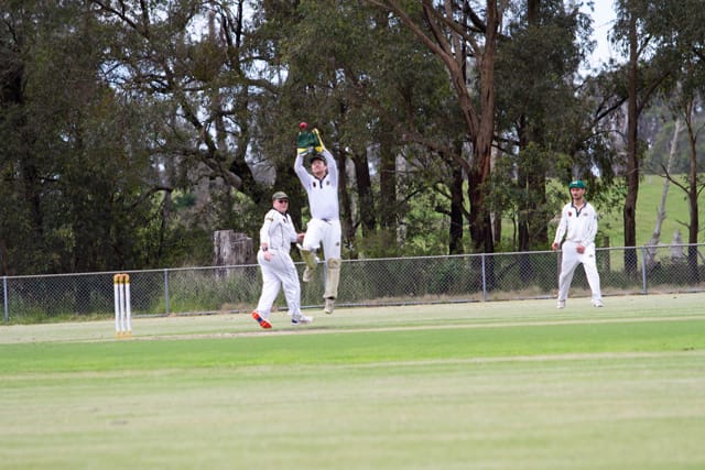 Cricket Div One Hallora v Neerim Dist - 06.11.2021