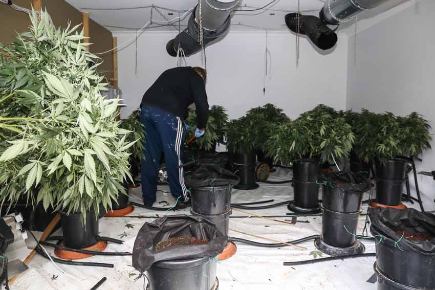 Another Drouin drug house