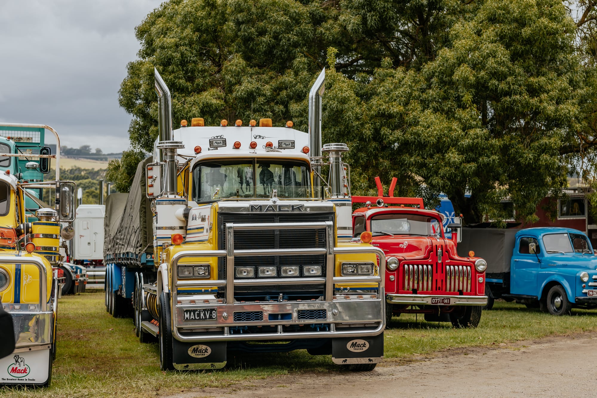 Some of theold cars on show
