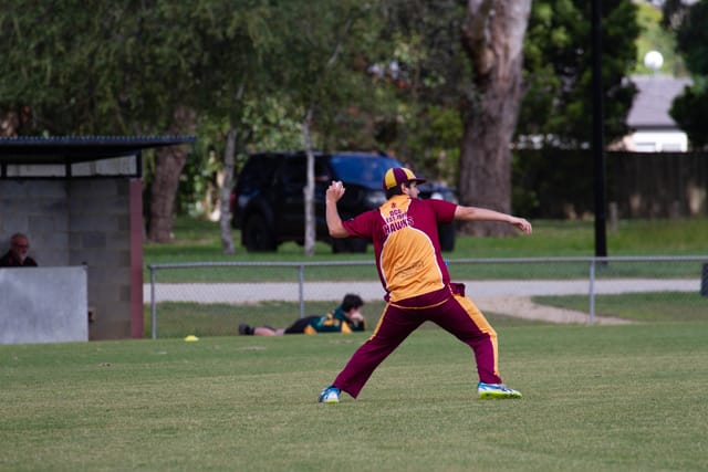 Cricket Div 2 Drouin v Hallora - 27.11.2021