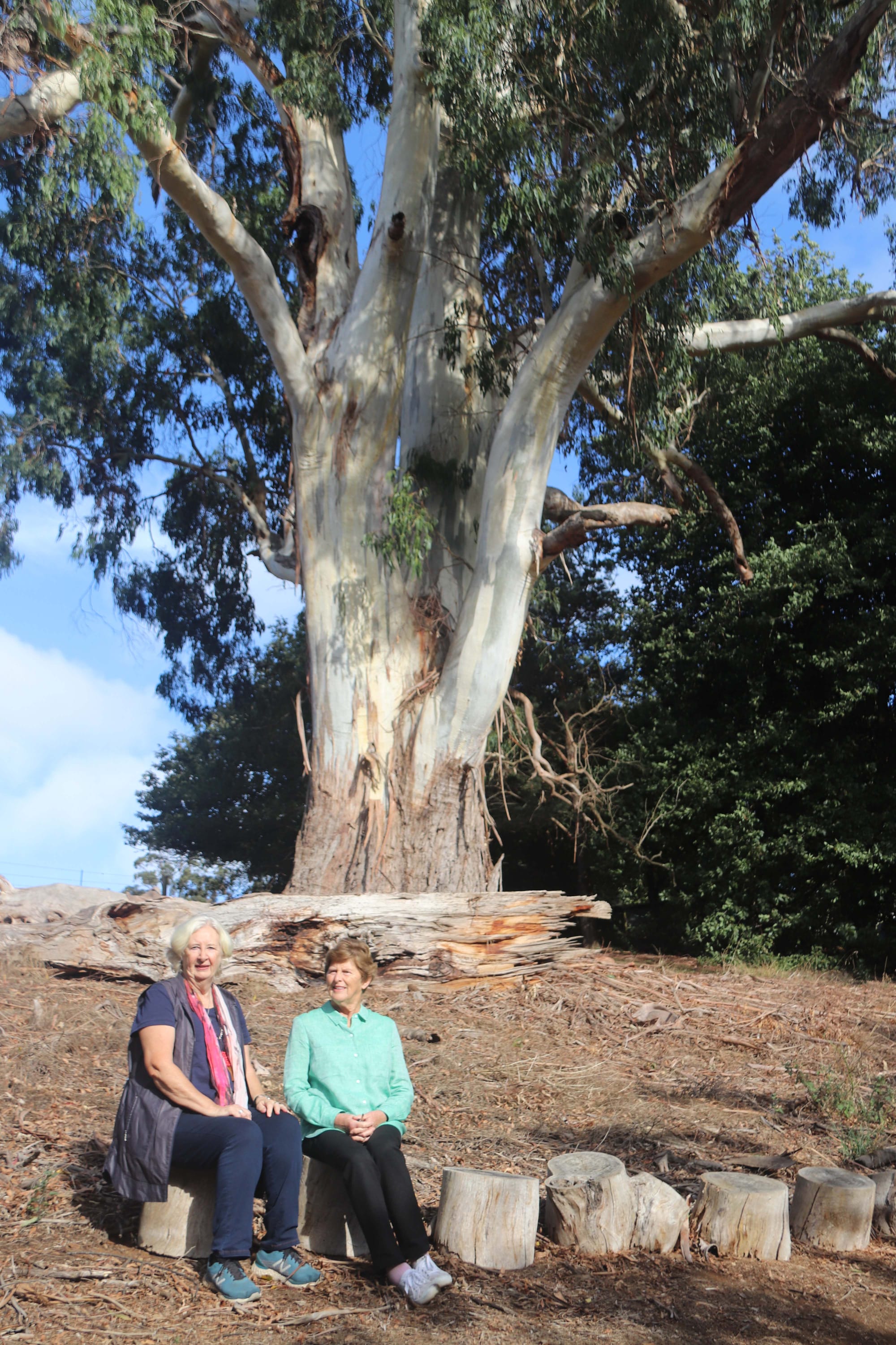 Arboretum - 12.04.2022