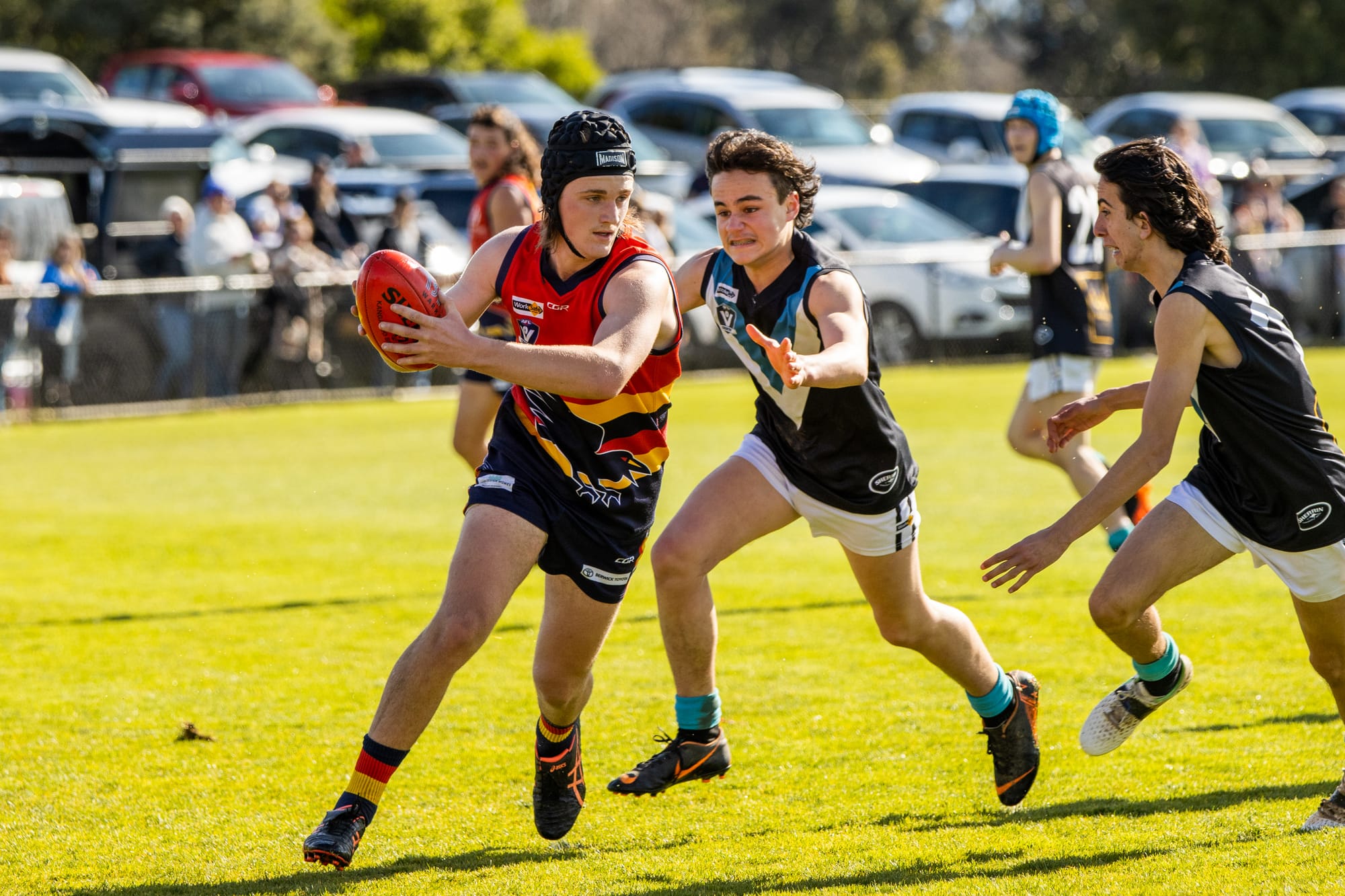 Crows keep Panthers at bay