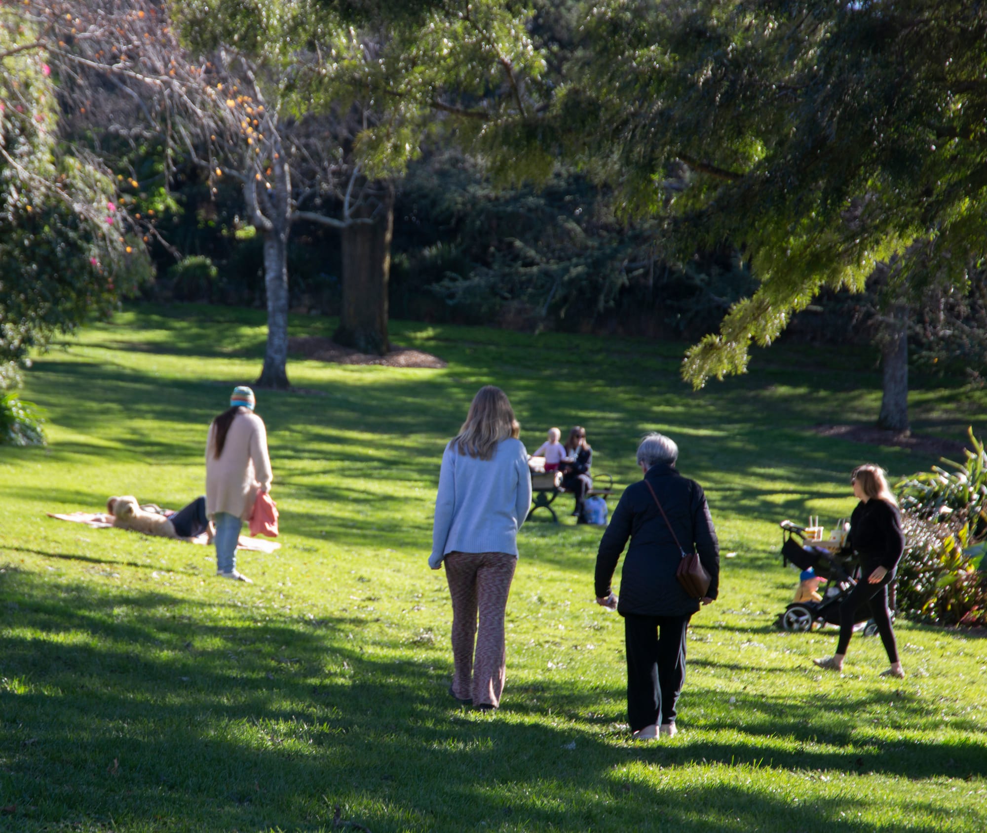 Seniors park tour planned