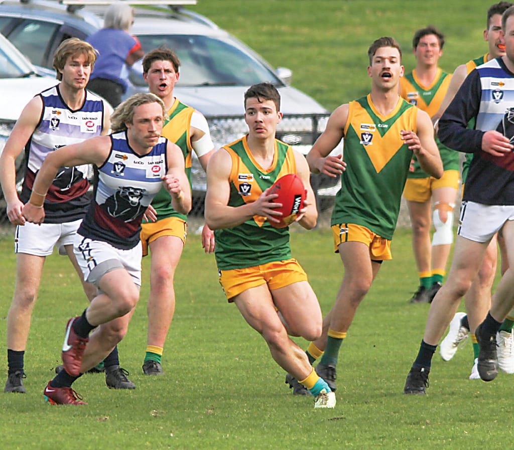 Stars fall short in Panthers loss