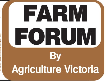 Summertime, the right time to eradicate footrot