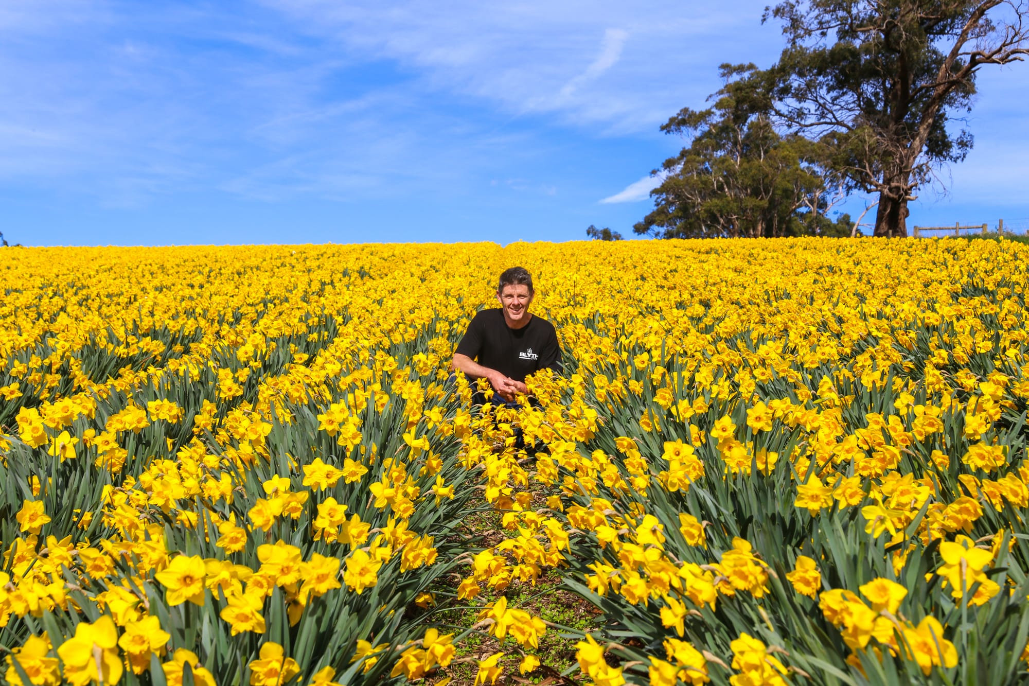 Out in the field of the family's Ellinbank flower farm is Nick Blyth.