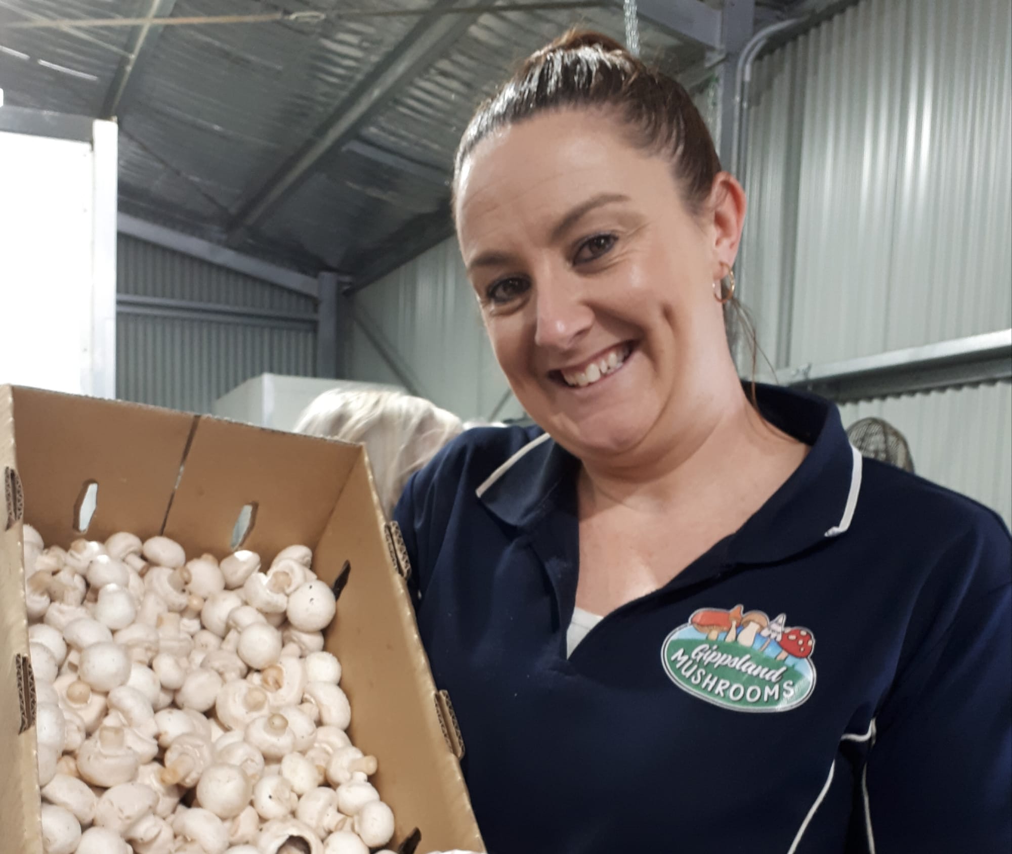 Growing mushrooms for local markets