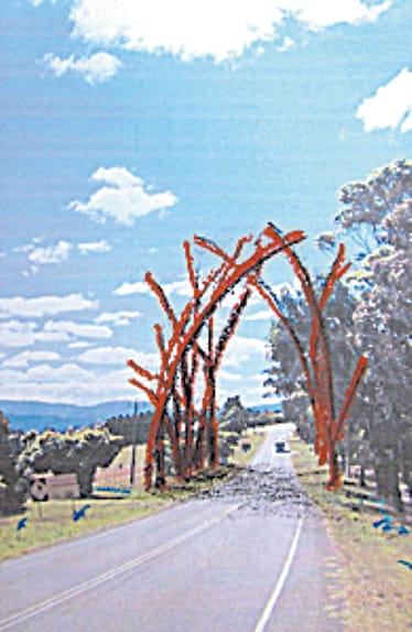 Bower birds to transform Neerim South.