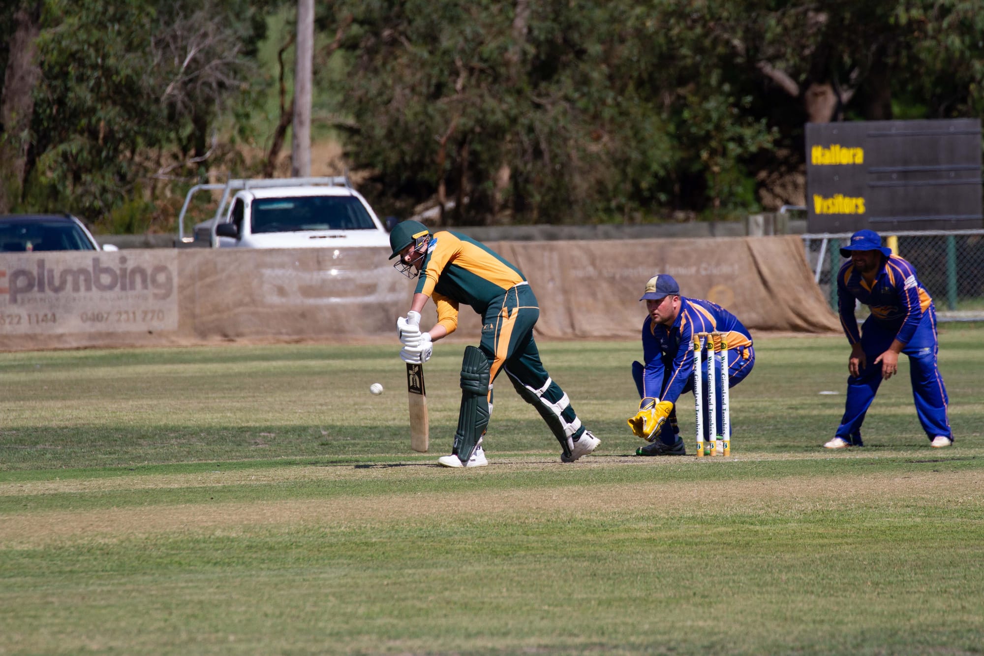 Cricket Div 1 Hallora Vs. Ellinbank - 12.03.2022