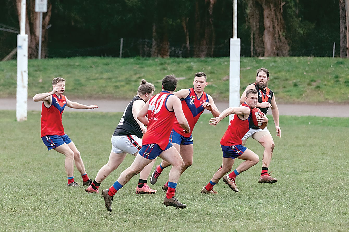 Lyrebirds secure minor premiership
