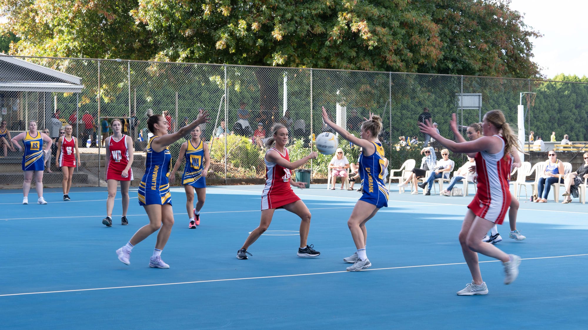 Netball EDFL