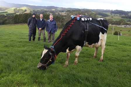 Slashing methane emissions