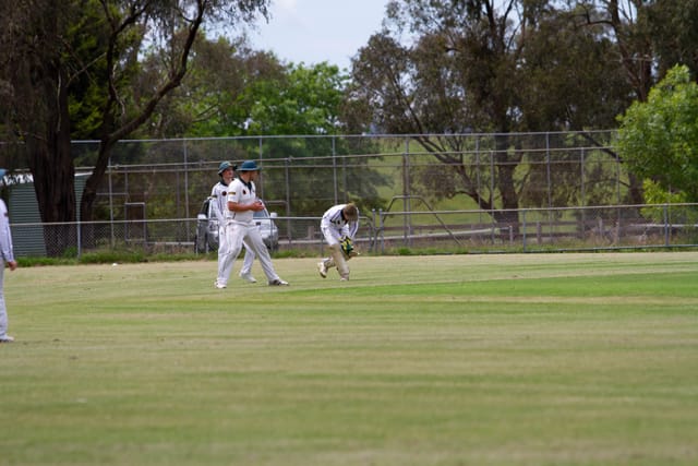 Cricket Div One Hallora v Neerim Dist - 06.11.2021