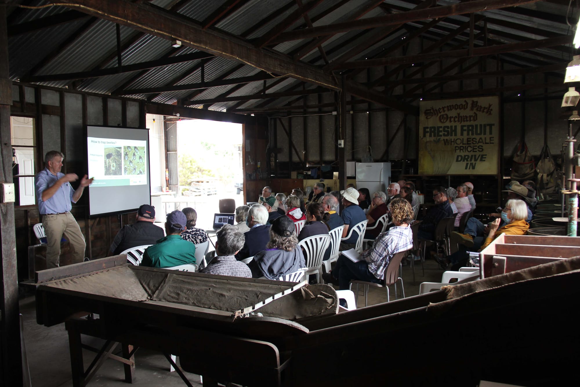 Dung Beetles - 15.03.2022