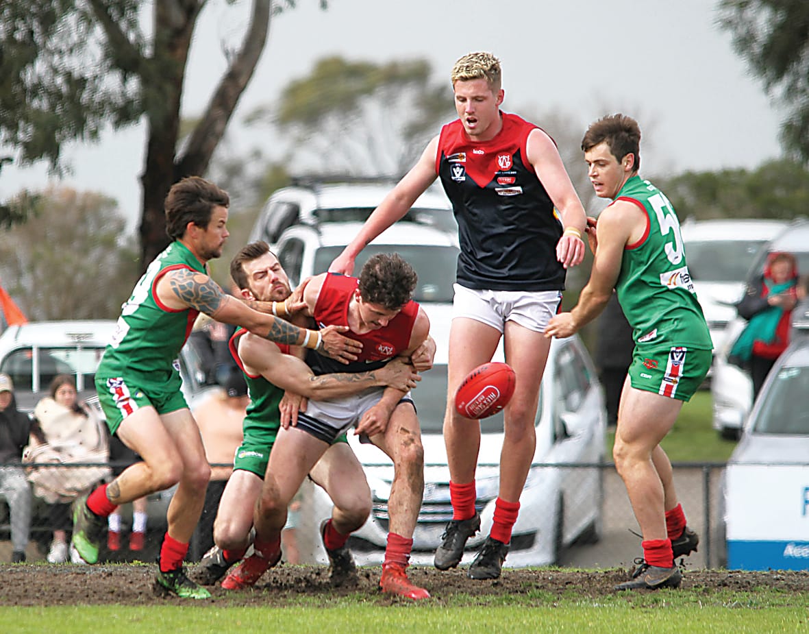 Seagulls swoop to seal seniors premiership