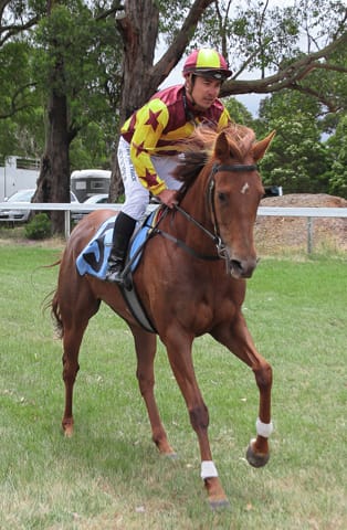 Drouin Boxing Day Races - 26.12.21