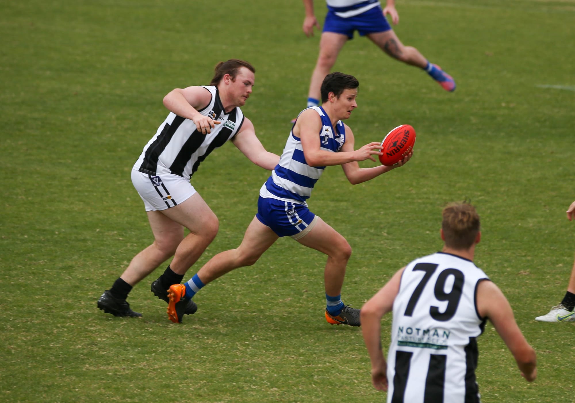 Cats crush Magpies