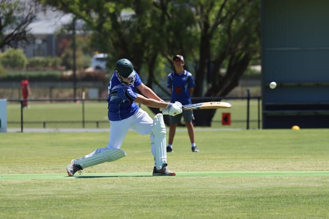 Cricket Div 4 Western Park Vs. Drouin - 05.02.2022