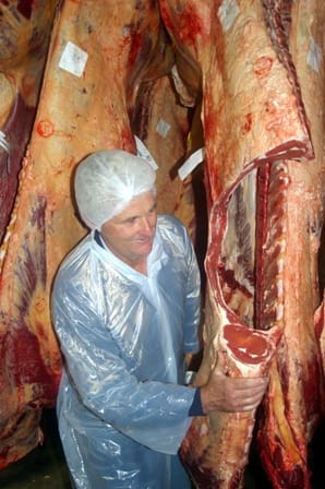 Steer trail conclussion