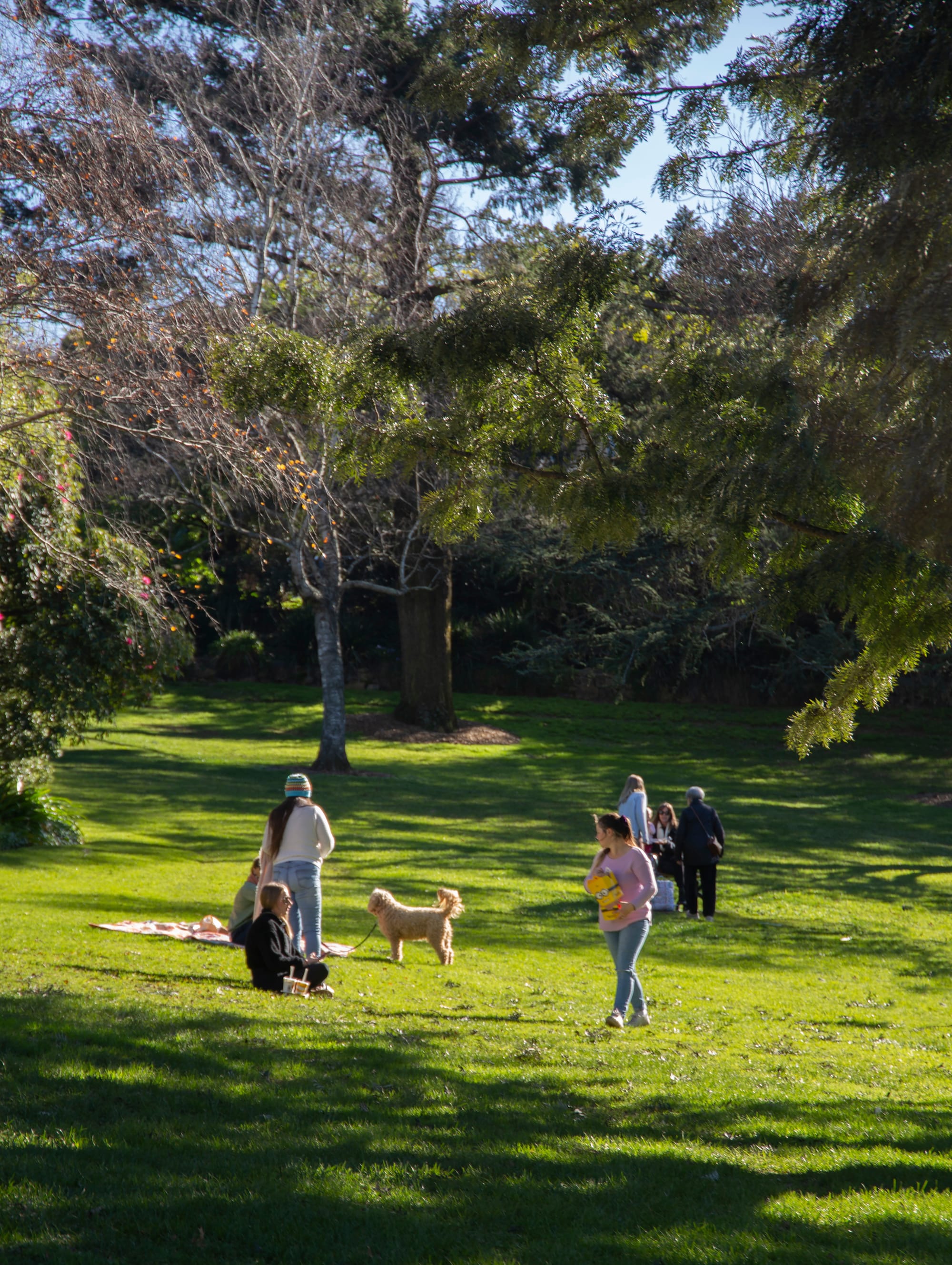 Parks and reserves rezoned in "tidy up"