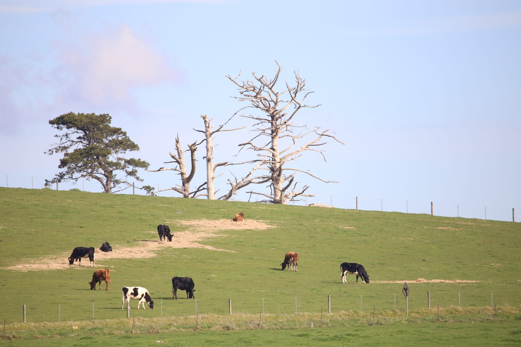 Dairy discharge at Poowong North leads to EPA fine