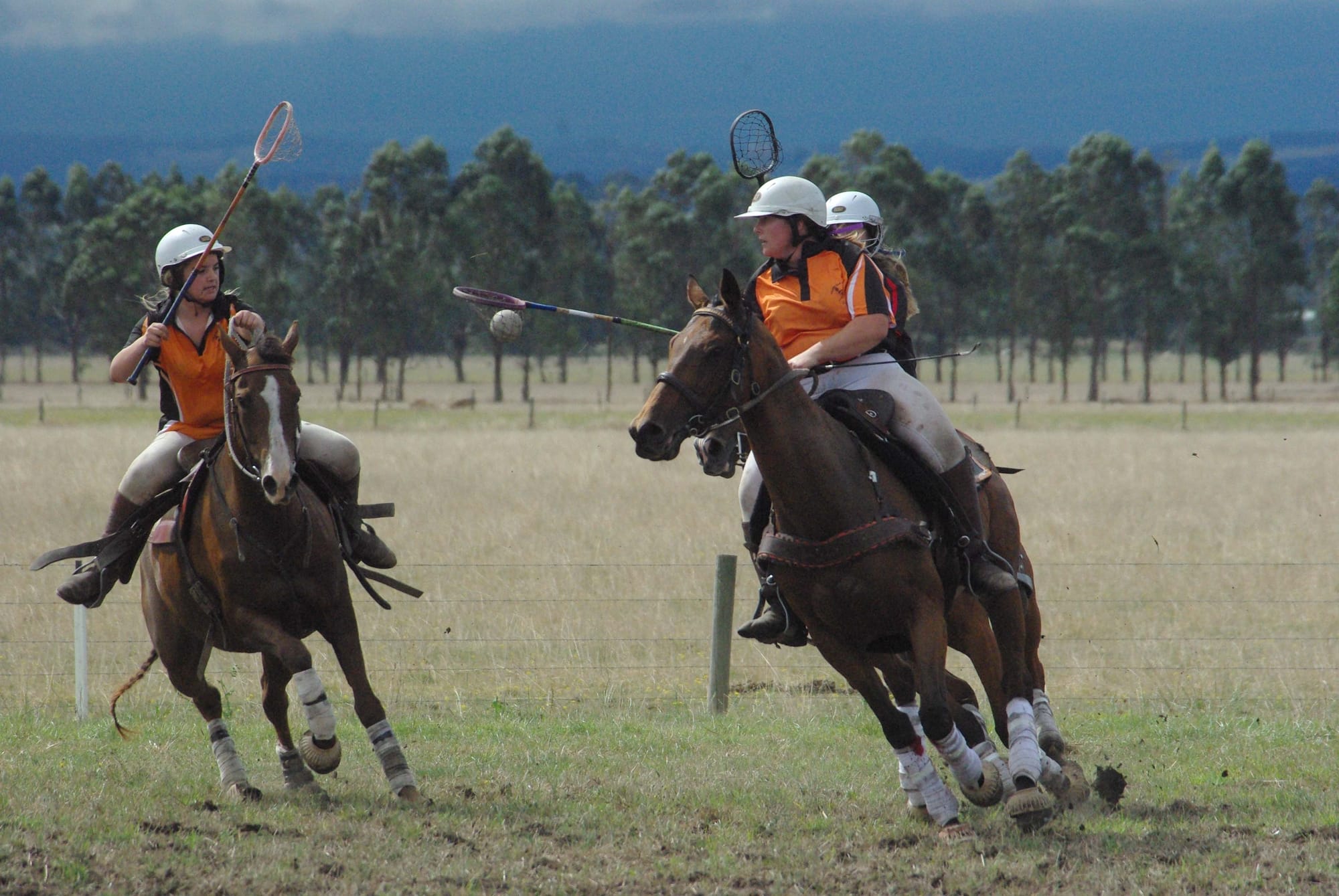 Traf Polox - 15.03.2022