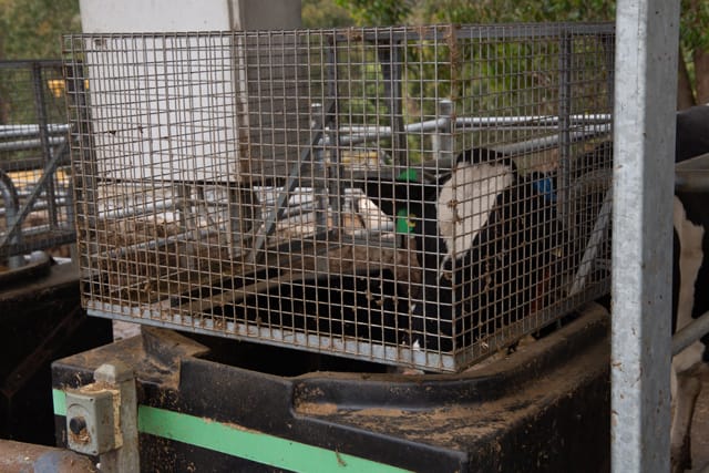 Ag Minister - 09.12.2021