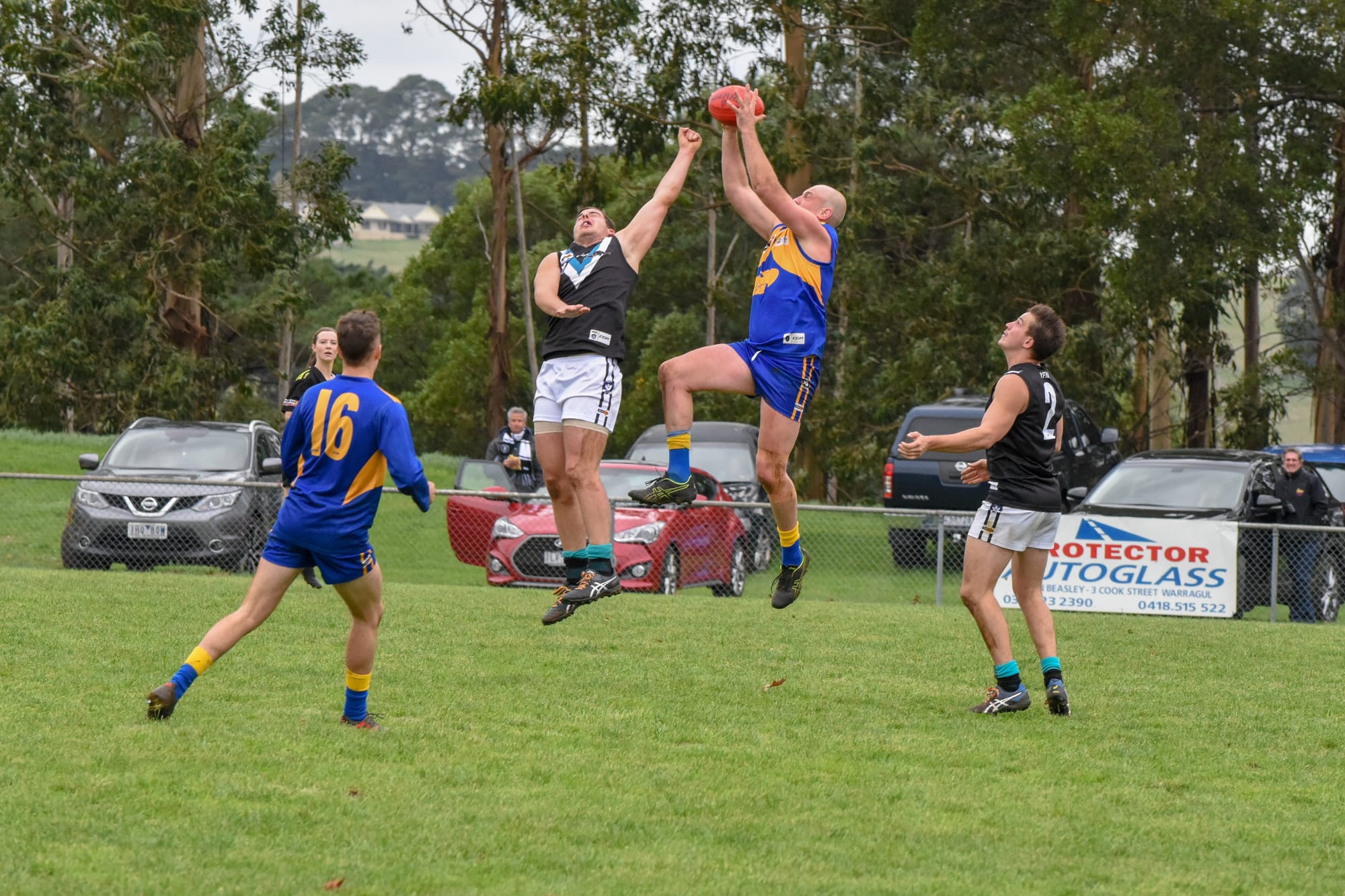 EDFL and EDNA begin talks to amalgamate for 2022