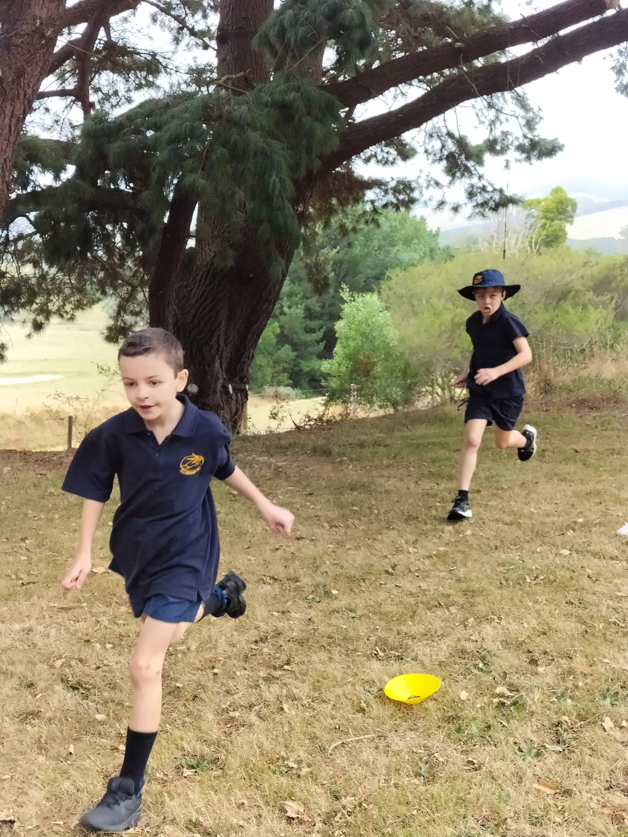 Family relays a highlight of sports