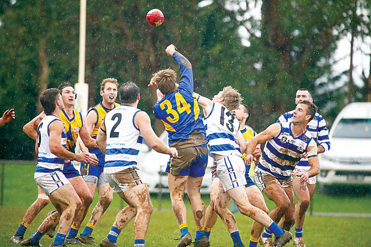 Cats host Eagles in bumper Ellinbank District twilight clash