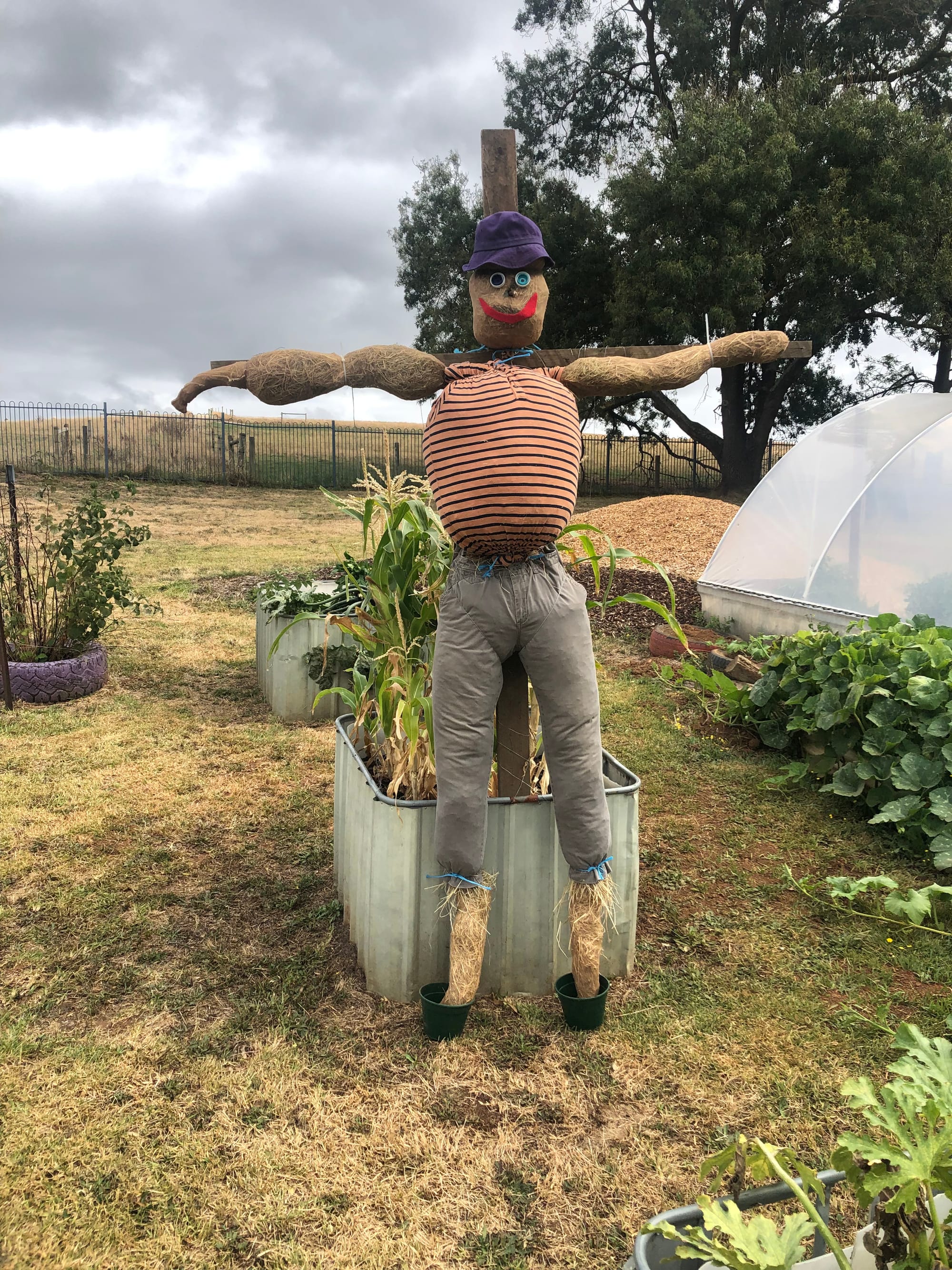 One of the scarecrows at Ripplebrook Primary School. All the scarecrows were carefully crafted by students.