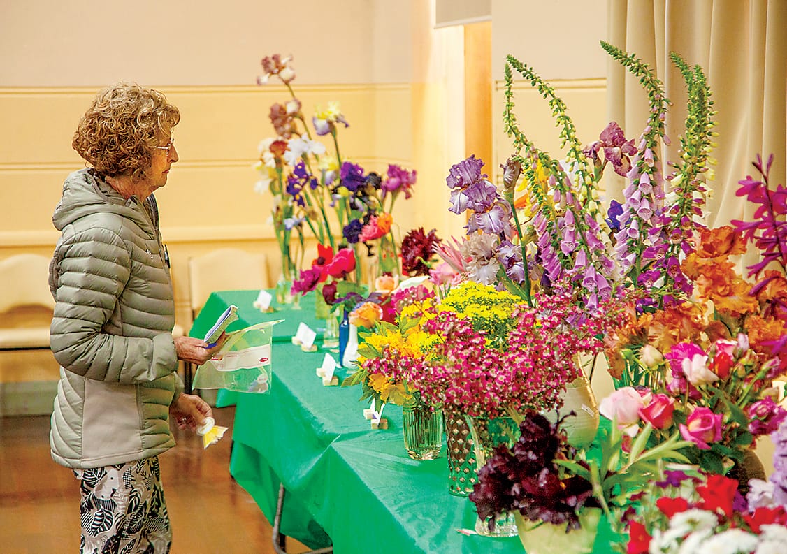 Judge Judith Hopkins concentrates on judging the flower arrangements.