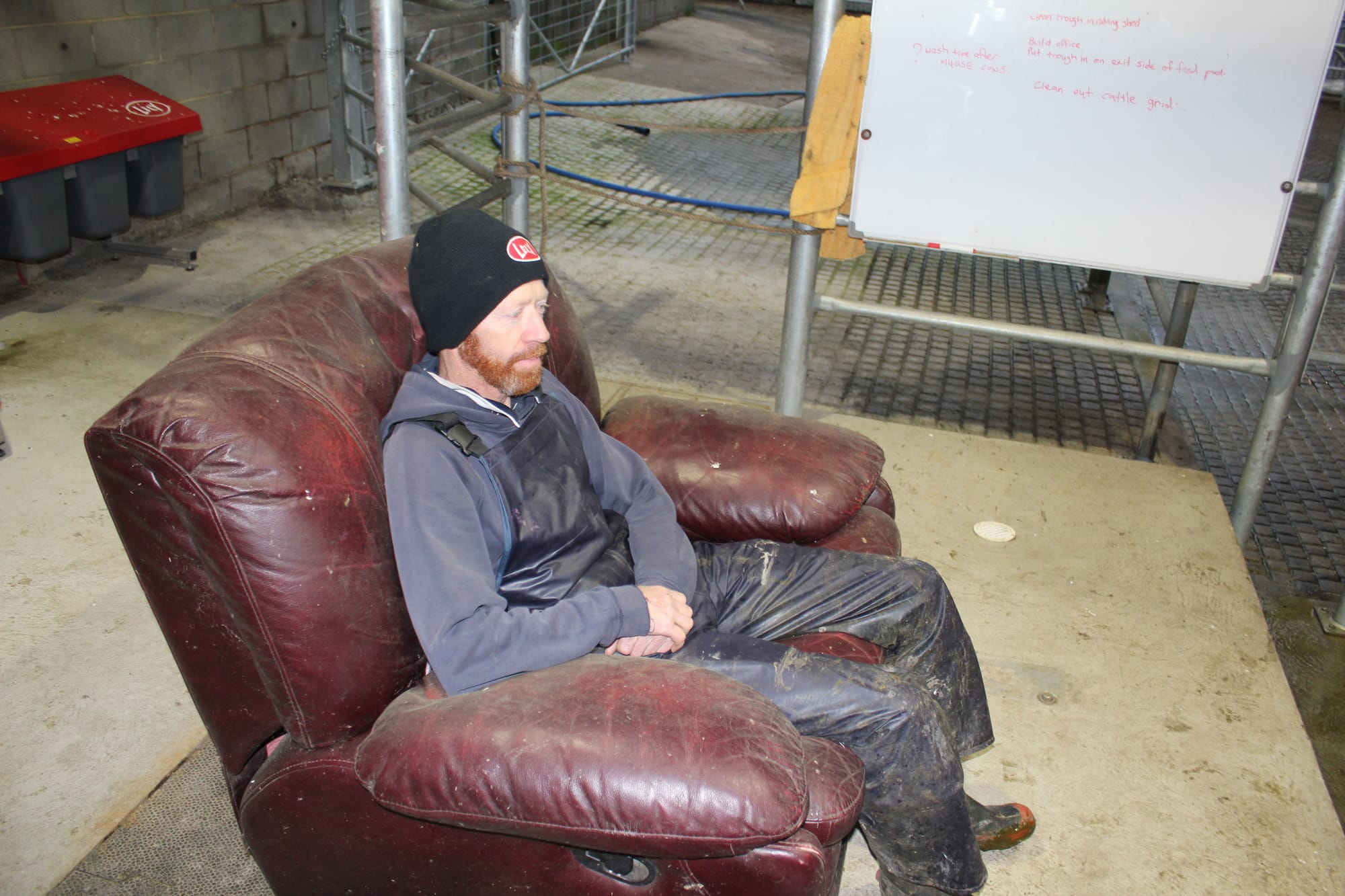 Robot providing a new way of life