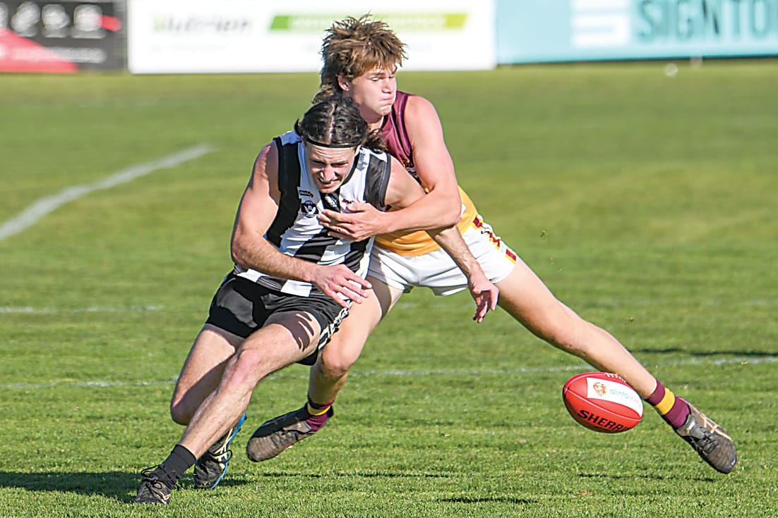 Hawks go down swinging again