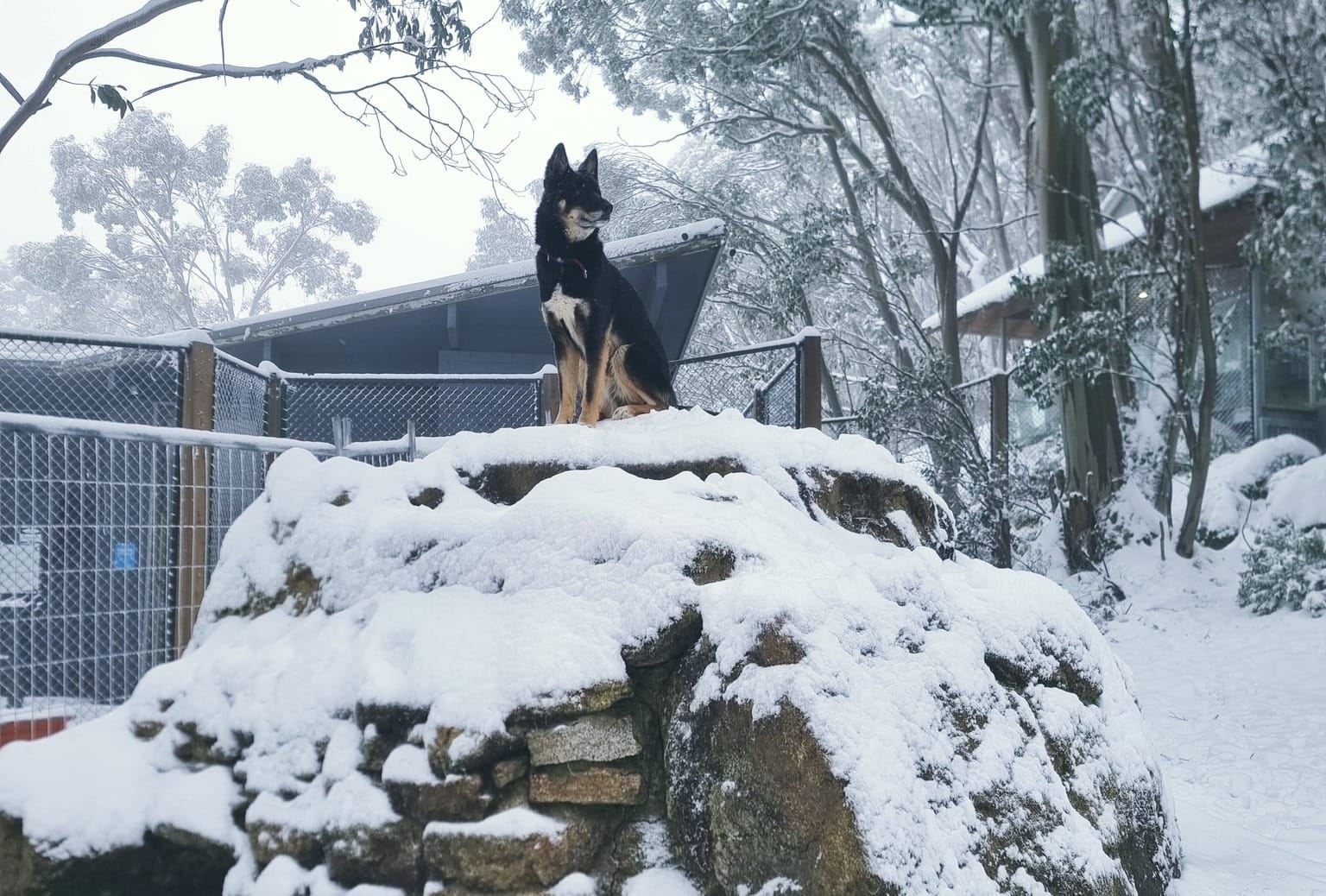 April a balmy autumn month