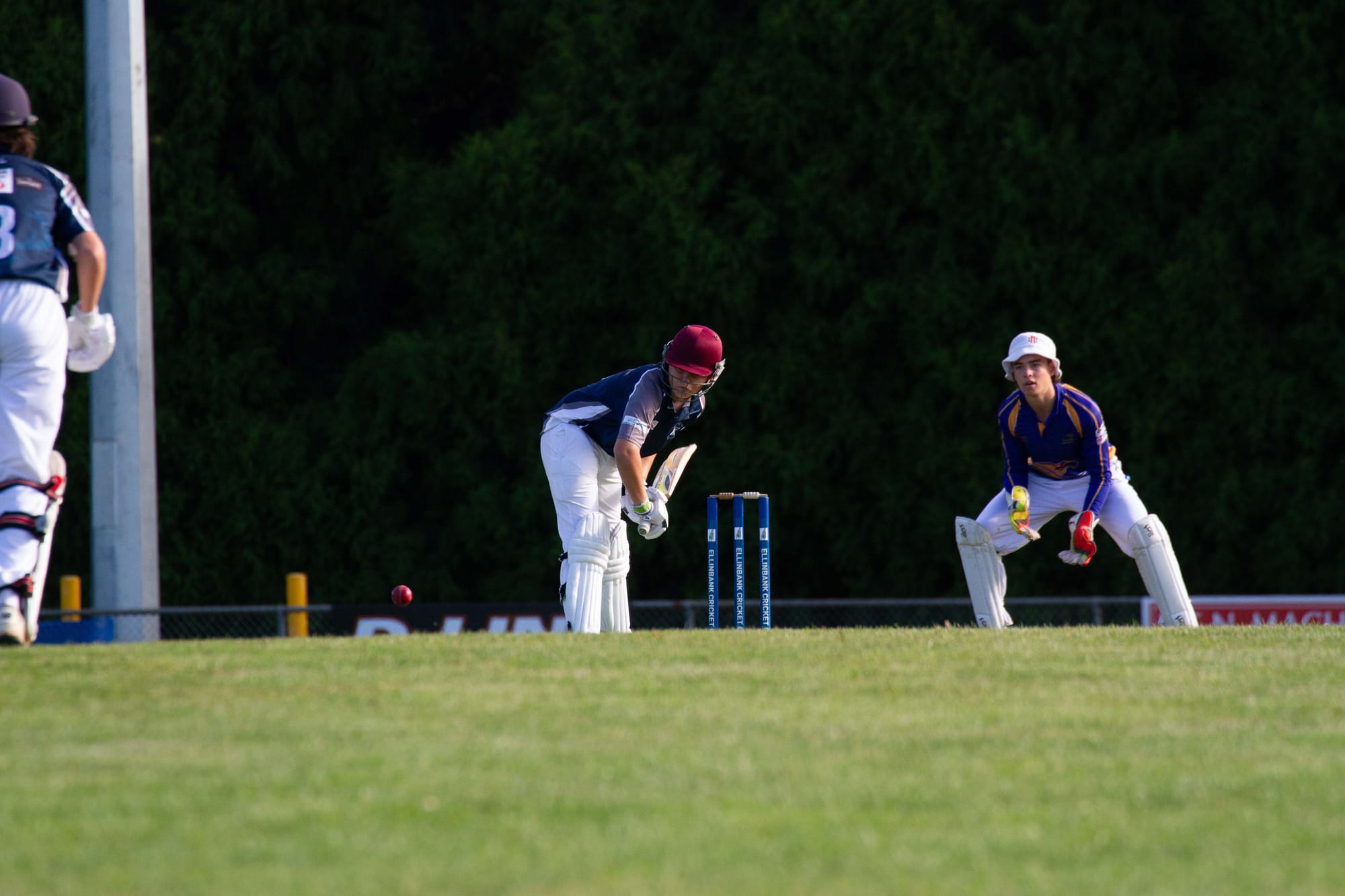 Cricket (U16's) Ellinbank Vs. Neerim District - 12.03.2022