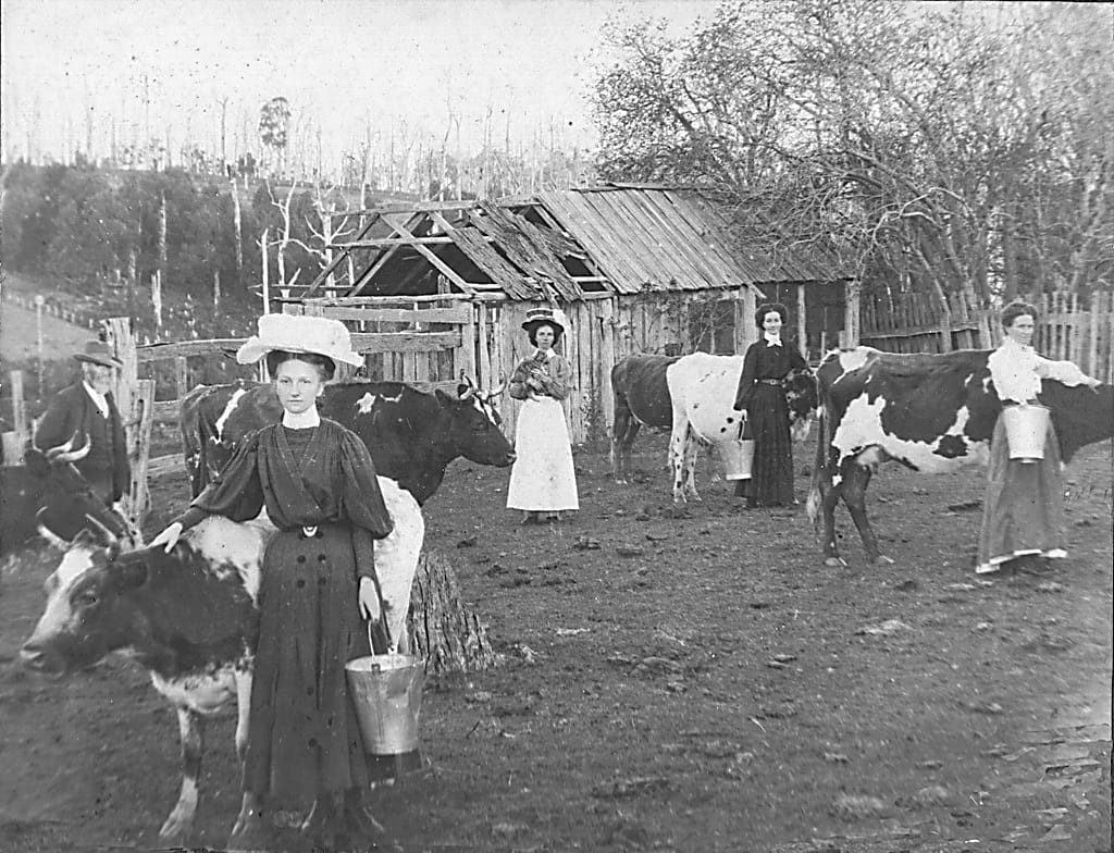 Snapshot of the past: Stephens family