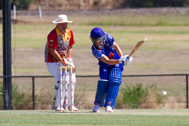Cricket Div 2 Western Park Vs. Drouin - 19.02.2022
