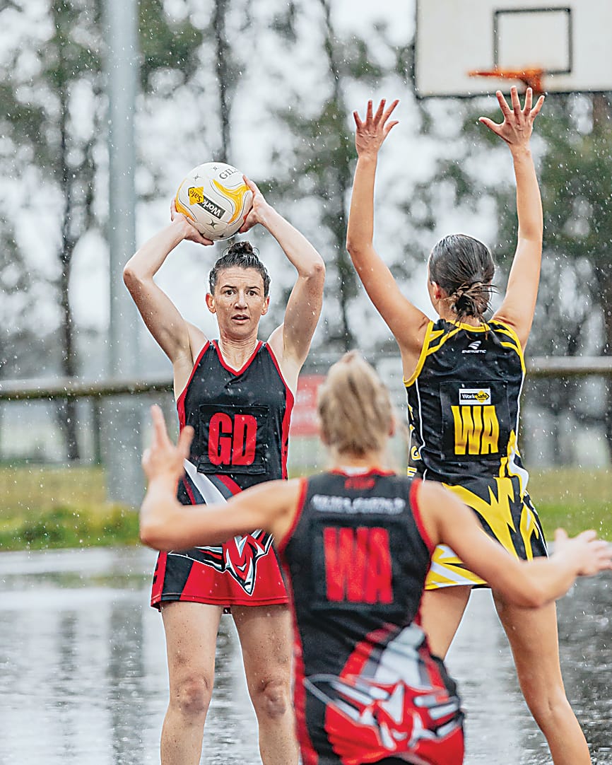 Lyrebirds burst into five