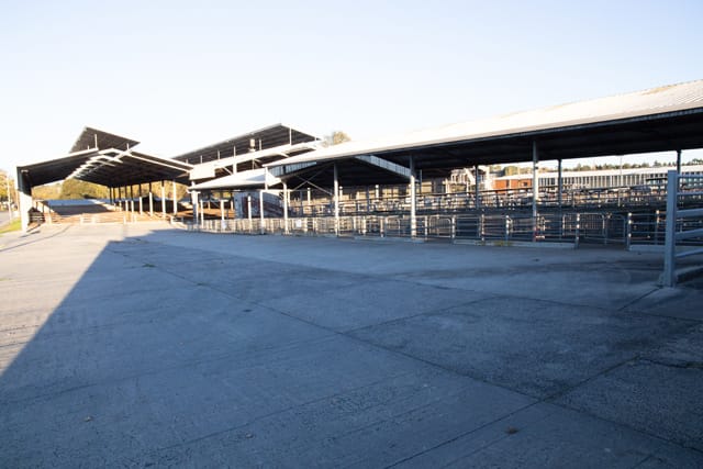 Sale Yards - 06.05.2021 