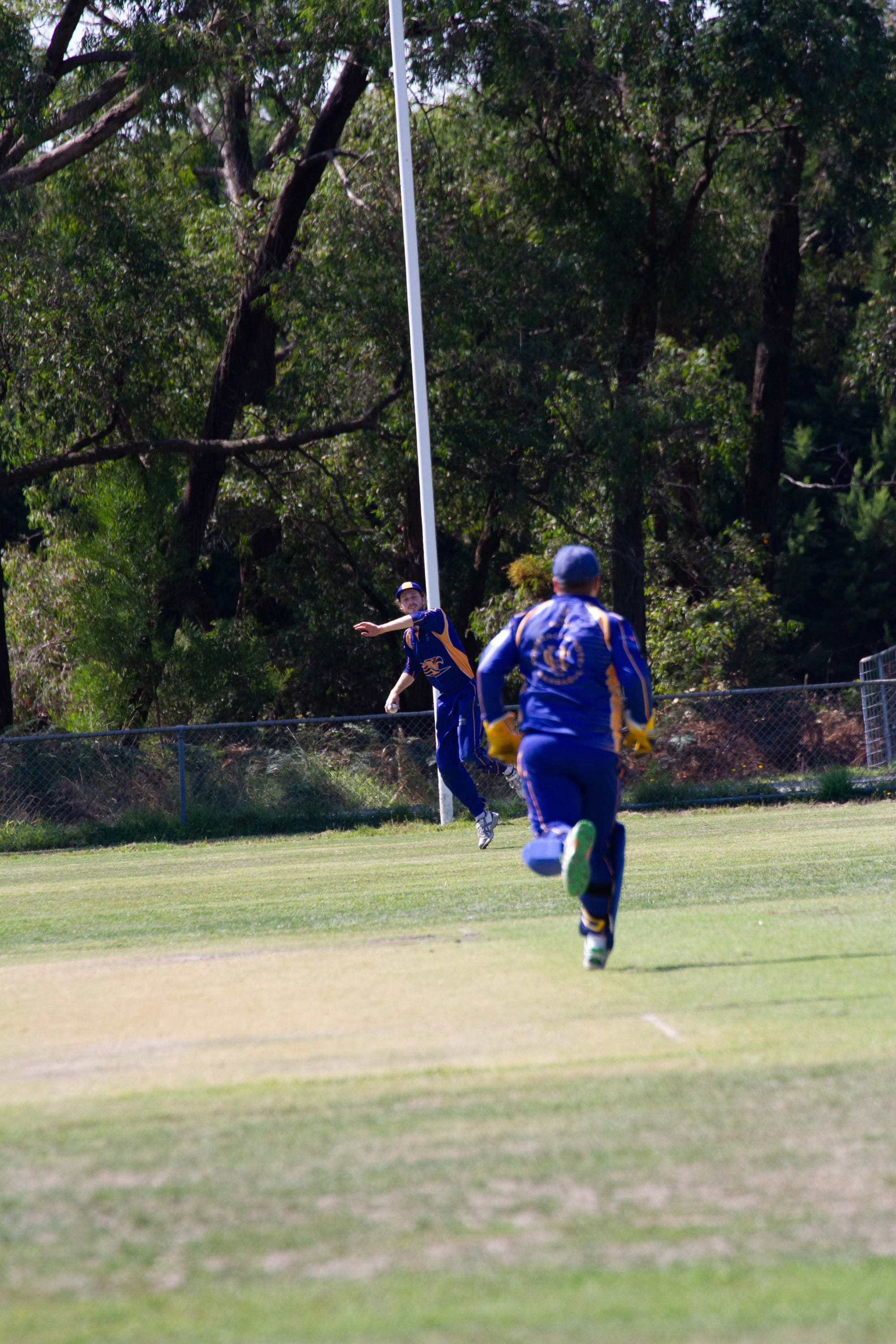 Cricket Div 1 Hallora Vs. Ellinbank - 12.03.2022
