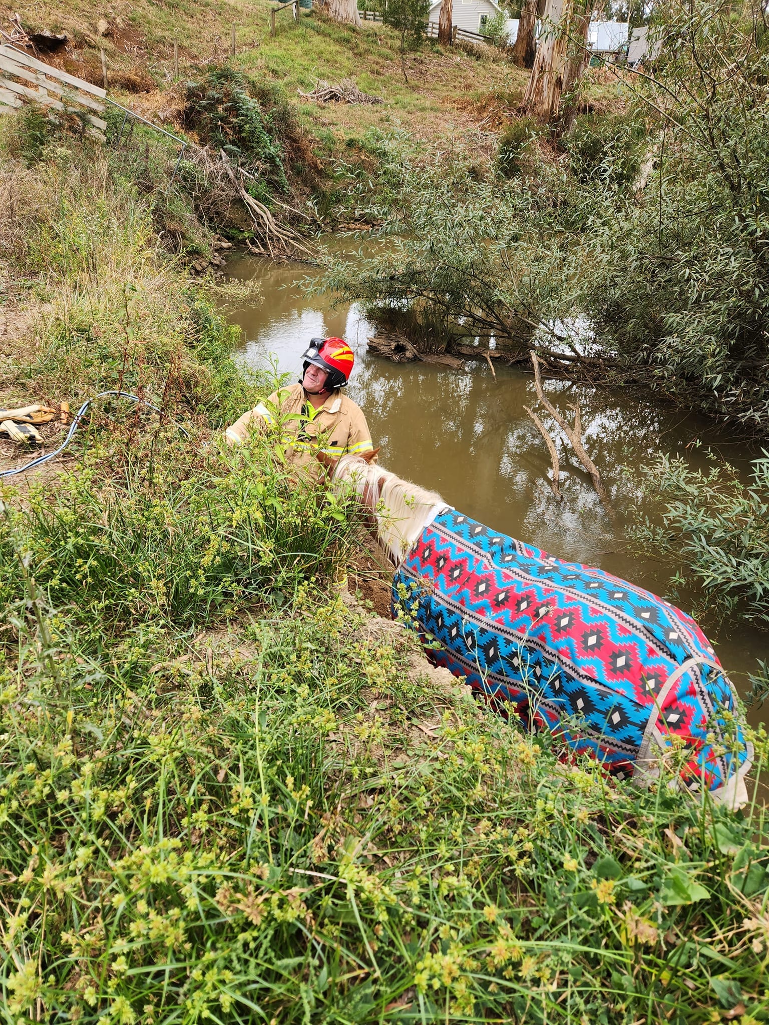 Darnum Ellinbank Fire Brigade volunteers rescue a horse stuck down an embankment on Darnum-Allambee Rd on Thursday morning.