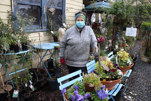 Carol's Nursery - 2021