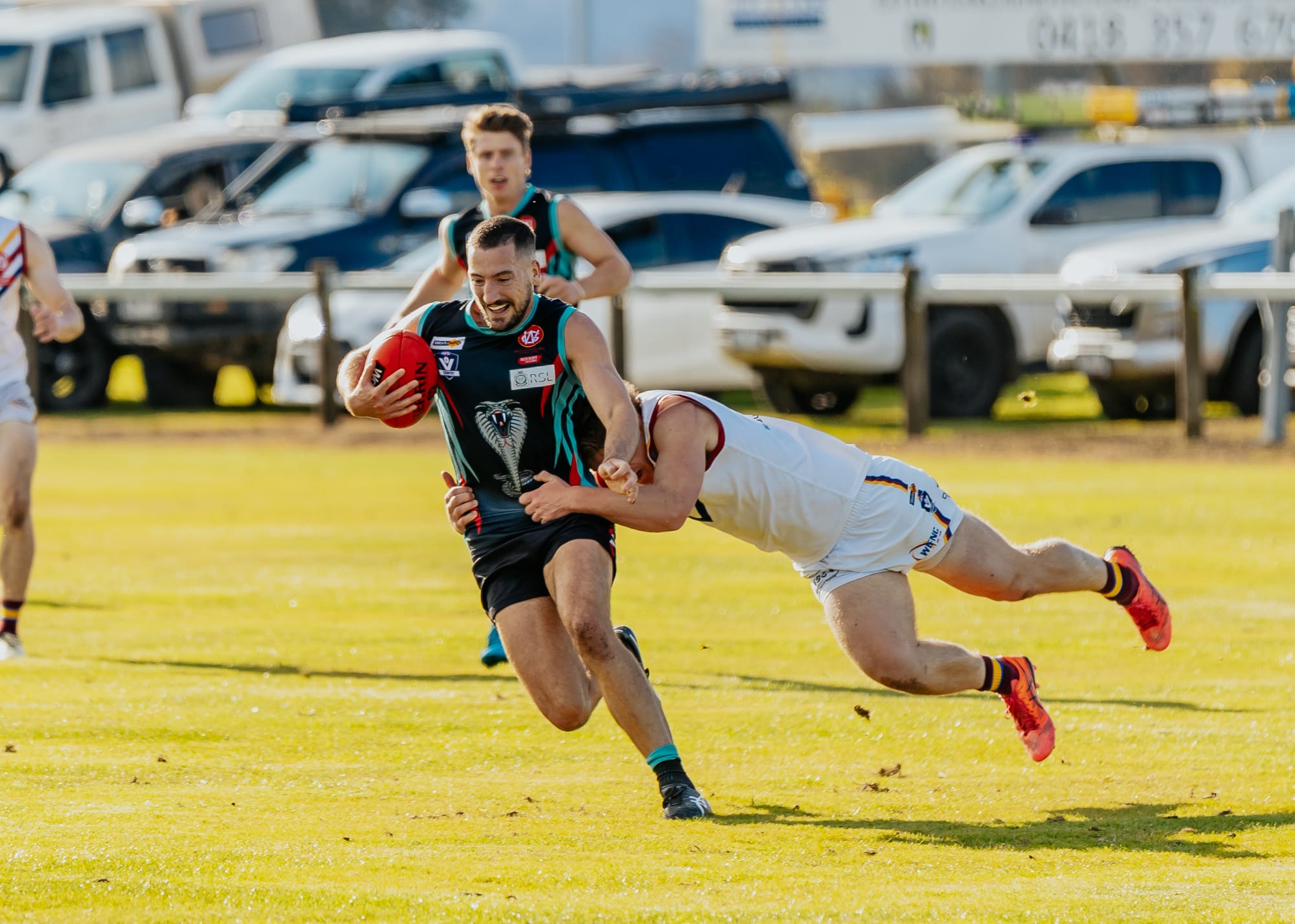 Dusties feel Cobras' bite