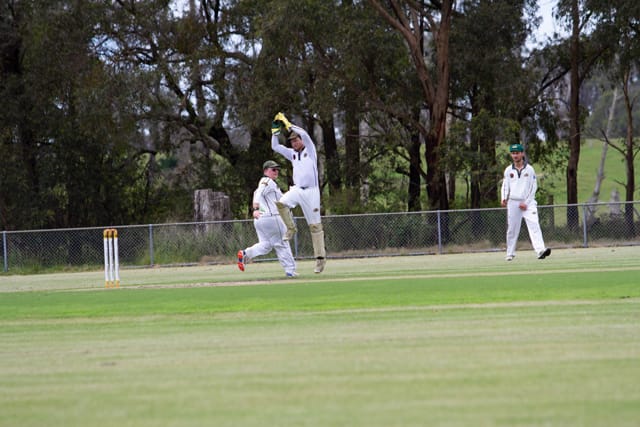 Cricket Div One Hallora v Neerim Dist - 06.11.2021