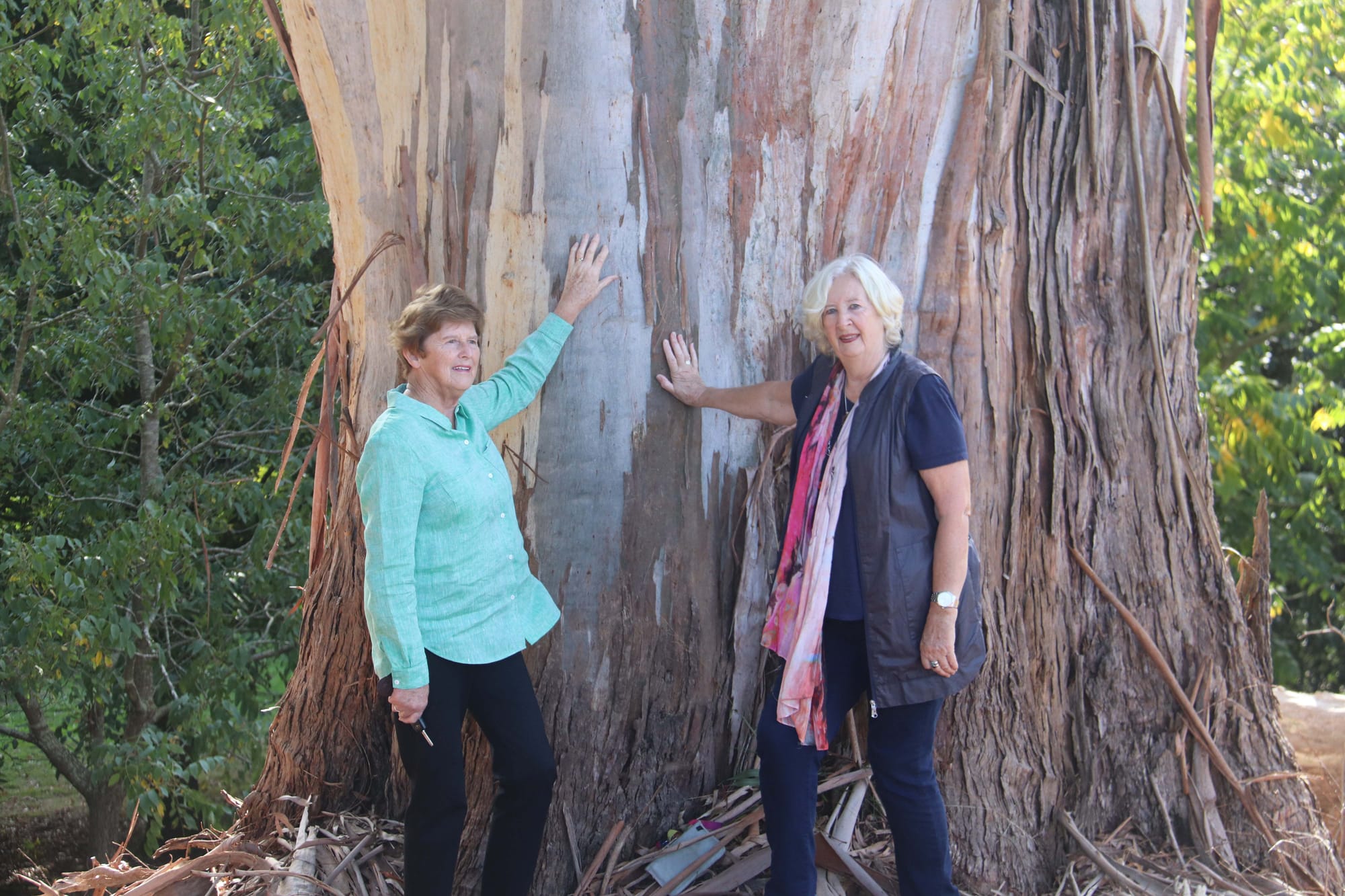 Arboretum - 12.04.2022