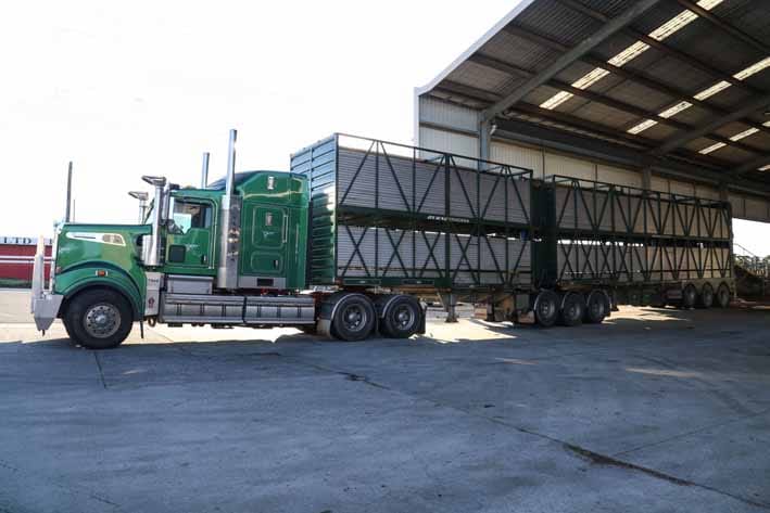 Strong Warragul saleyards