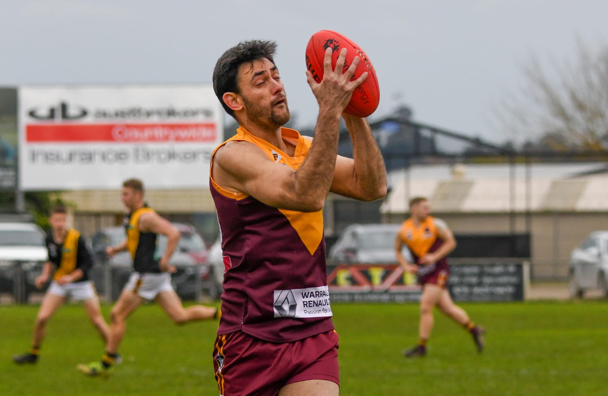 Kingi named top Hawk